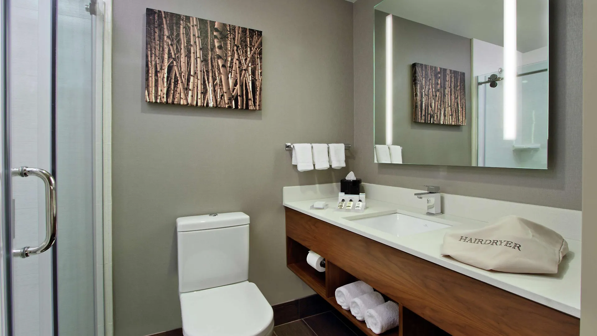 Hilton Garden Inn New York/Midtown Park Avenue 3*,  ארצות הברית