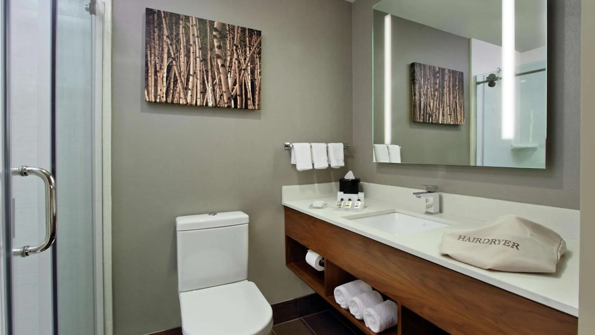 Hilton Garden Inn New York/Midtown Park Avenue United States
